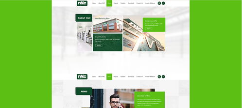 雷士光電官方網(wǎng)站建設(shè)項(xiàng)目 構(gòu)建專業(yè)數(shù)字門戶，照亮品牌未來(lái)